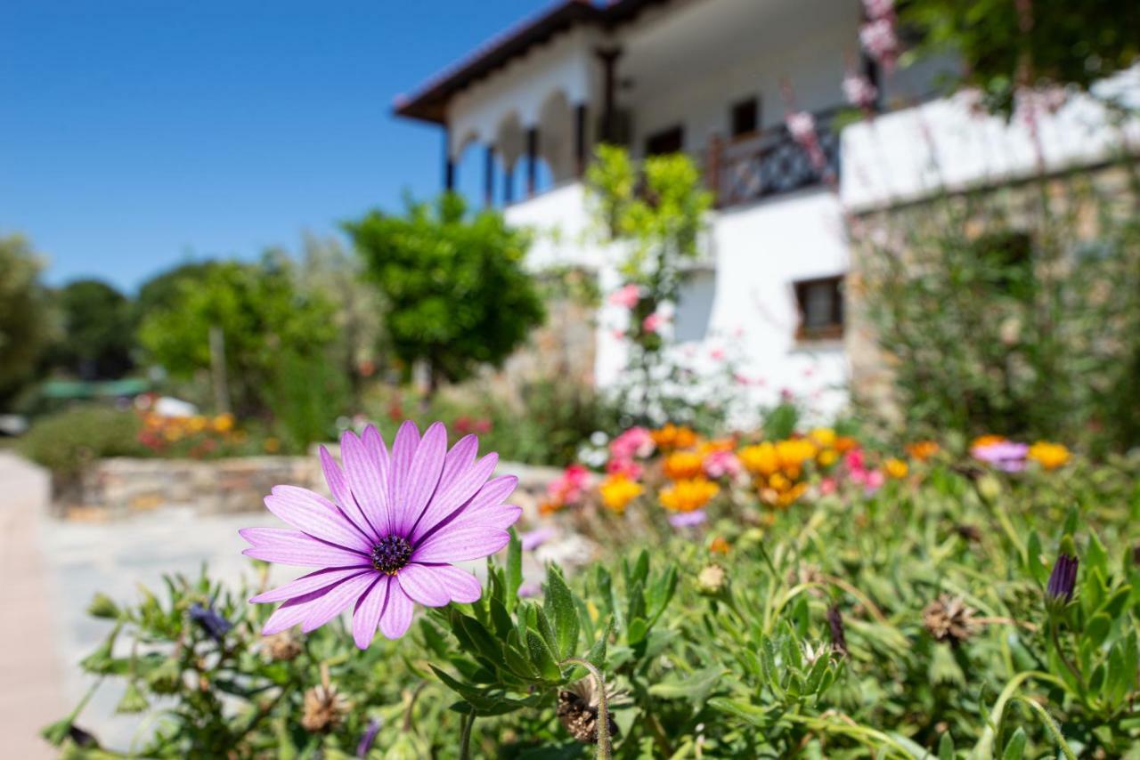 Apartamento Garden House Psarogiannis Vourvourou Exterior foto