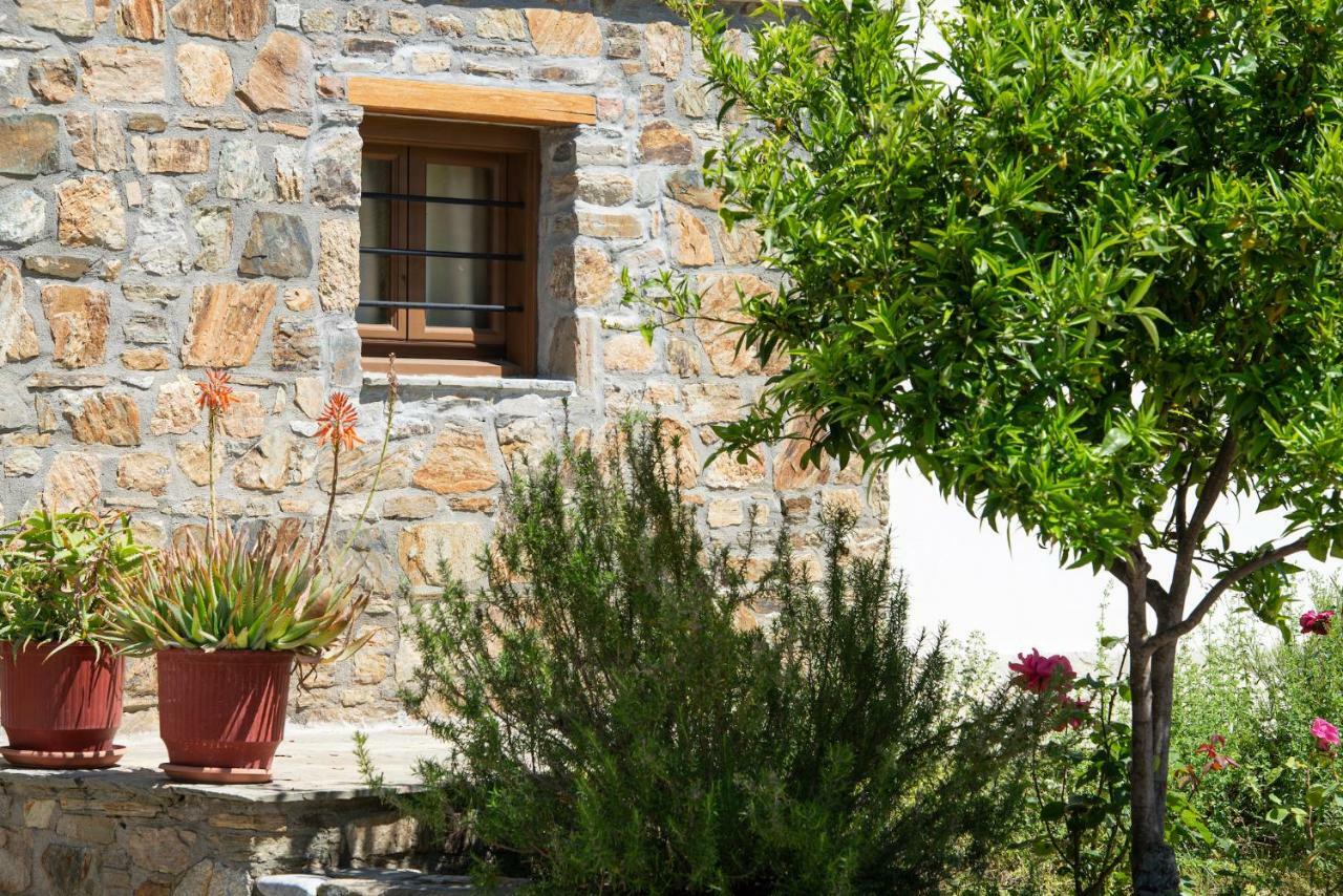 Apartamento Garden House Psarogiannis Vourvourou Exterior foto
